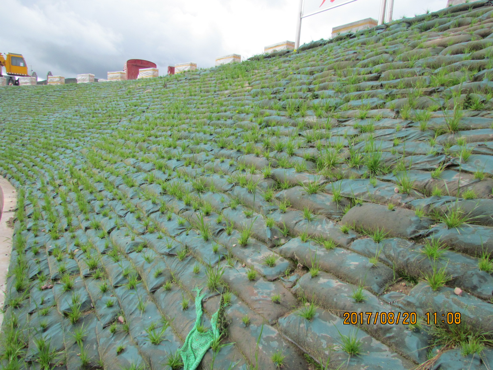 500004-8207-20013-007-芒康变进站道路区植生袋护坡.JPG