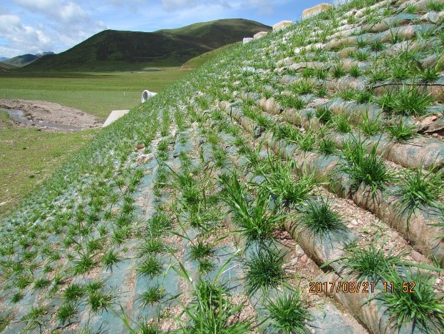 500004-8207-20013-080-芒康变 进站道路植生袋边坡.jpg